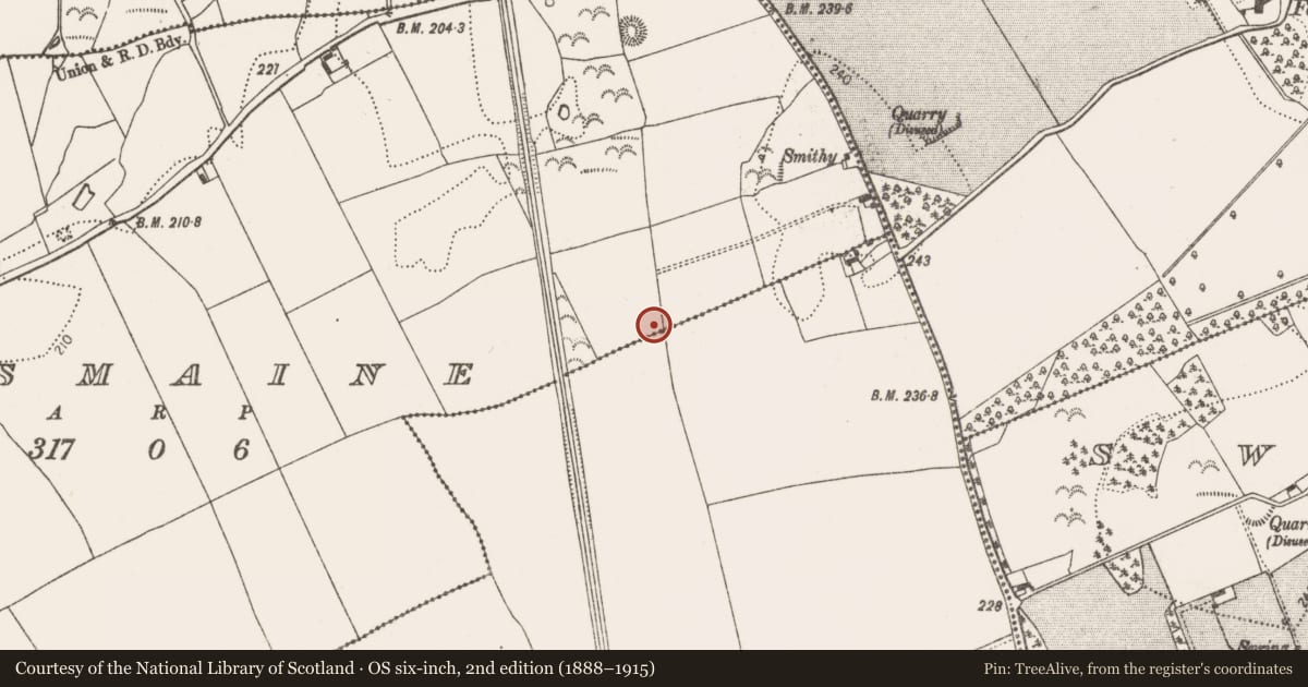 Ordnance Survey six-inch map, 2nd edition (1888–1915) covering the location of Ring-ditch, Lismaine, County Kilkenny, with a pin at the register's coordinates