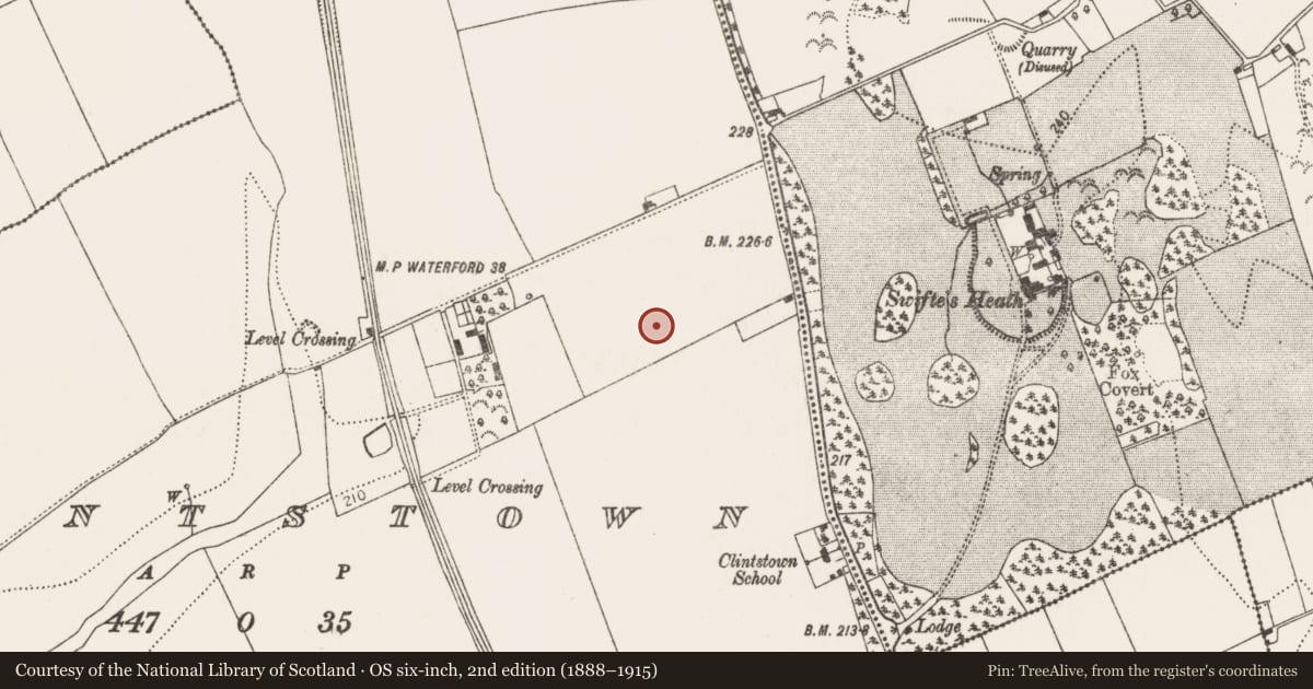 Ordnance Survey six-inch map, 2nd edition (1888–1915) covering the location of Enclosure, Clintstown, County Kilkenny, with a pin at the register's coordinates