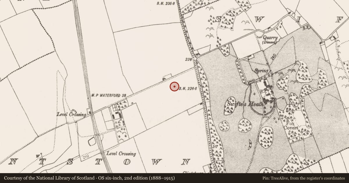Ordnance Survey six-inch map, 2nd edition (1888–1915) covering the location of Ring-ditch, Clintstown, County Kilkenny, with a pin at the register's coordinates