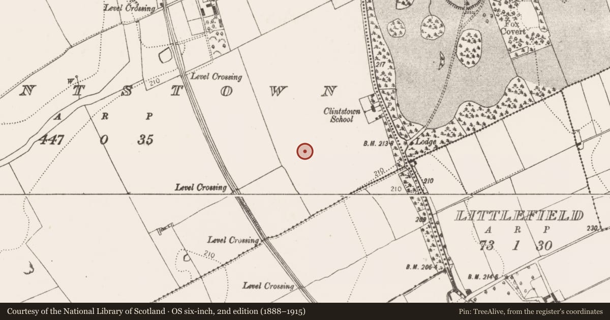 Ordnance Survey six-inch map, 2nd edition (1888–1915) covering the location of Ring-ditch, Clintstown, County Kilkenny, with a pin at the register's coordinates