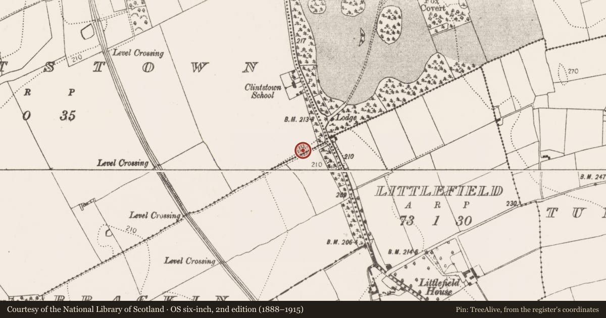 Ordnance Survey six-inch map, 2nd edition (1888–1915) covering the location of Enclosure, Clintstown, County Kilkenny, with a pin at the register's coordinates