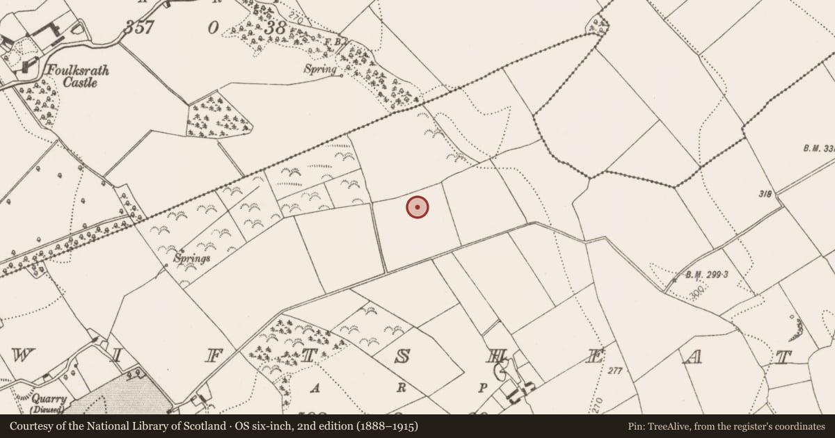 Ordnance Survey six-inch map, 2nd edition (1888–1915) covering the location of Enclosure, Swiftsheath, County Kilkenny, with a pin at the register's coordinates