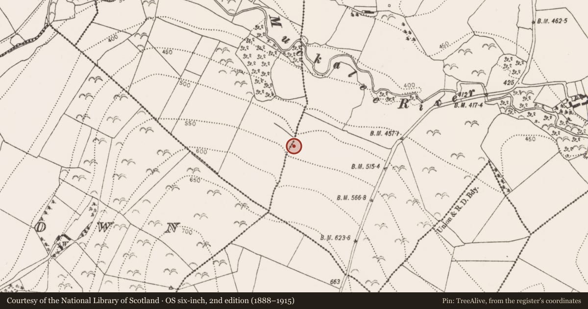 Ordnance Survey six-inch map, 2nd edition (1888–1915) covering the location of Fulacht fia, Muckalee, County Kilkenny, with a pin at the register's coordinates