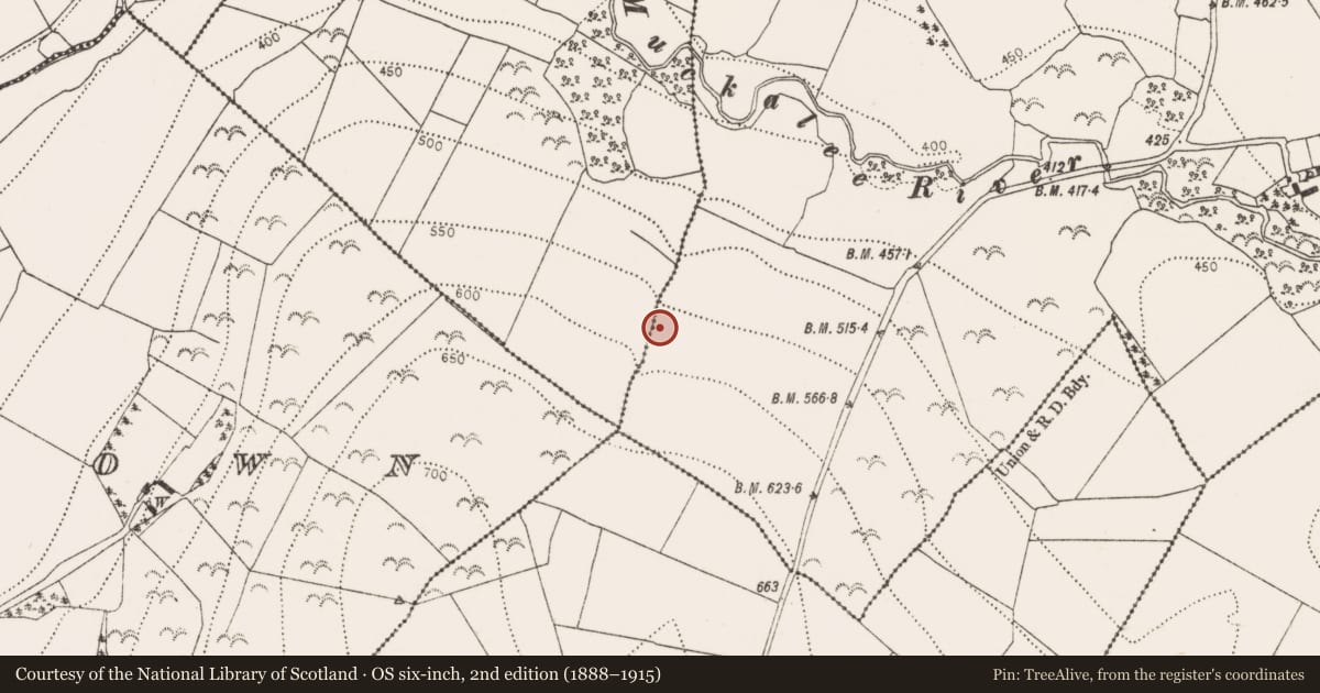 Ordnance Survey six-inch map, 2nd edition (1888–1915) covering the location of Fulacht fia, Muckalee, County Kilkenny, with a pin at the register's coordinates