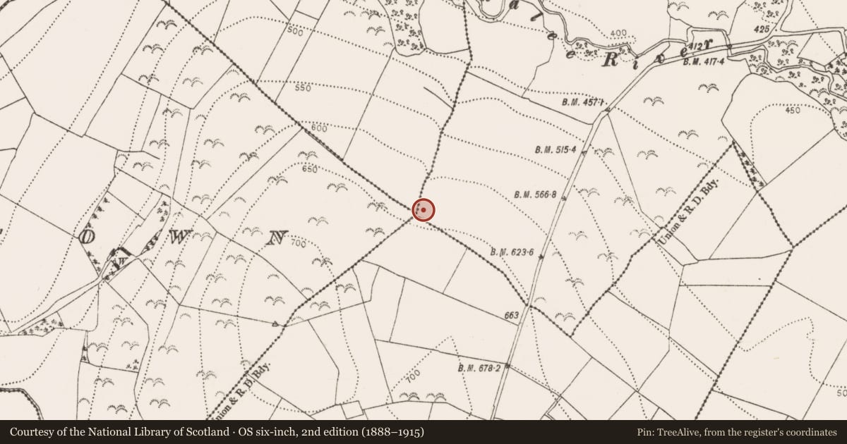 Ordnance Survey six-inch map, 2nd edition (1888–1915) covering the location of Fulacht fia, Muckalee, County Kilkenny, with a pin at the register's coordinates