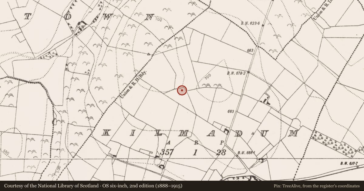 Ordnance Survey six-inch map, 2nd edition (1888–1915) covering the location of Enclosure, Kilmadum, County Kilkenny, with a pin at the register's coordinates