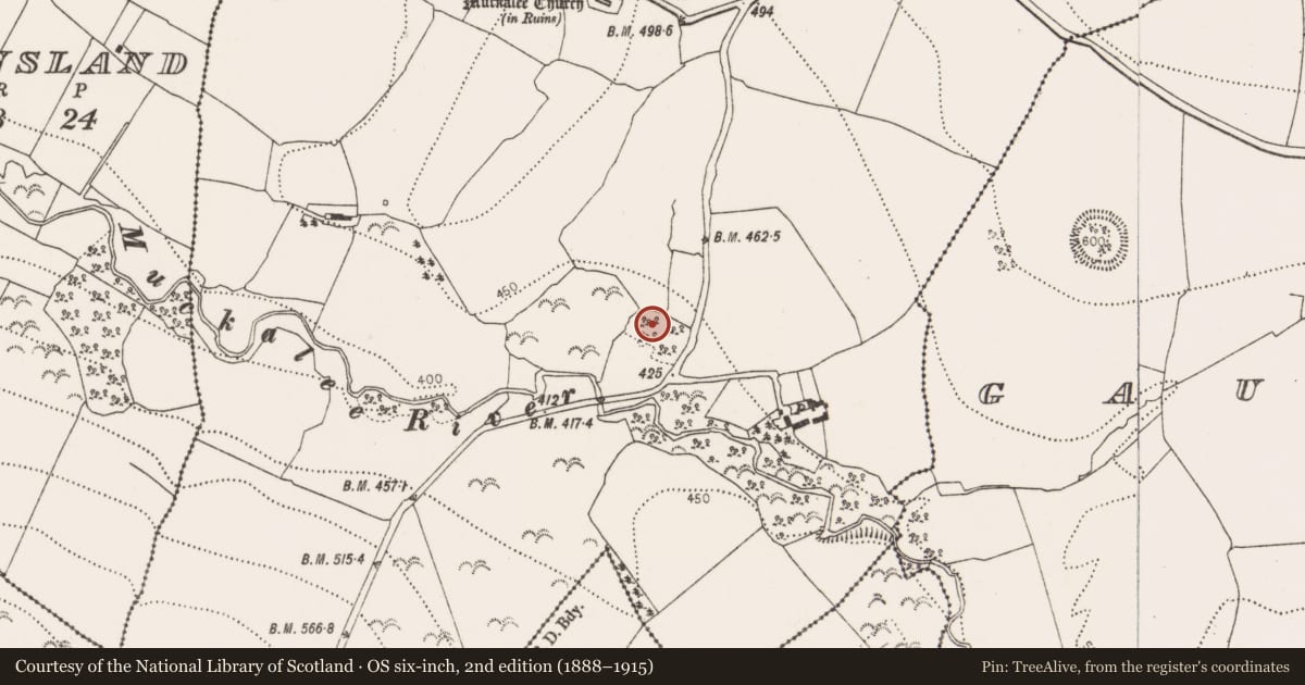 Ordnance Survey six-inch map, 2nd edition (1888–1915) covering the location of Enclosure, Muckalee, County Kilkenny, with a pin at the register's coordinates