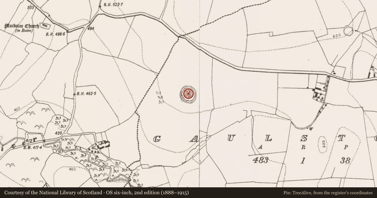 Ordnance Survey six-inch map, 2nd edition (1888–1915) covering the location of Enclosure, Gaulstown, County Kilkenny, with a pin at the register's coordinates