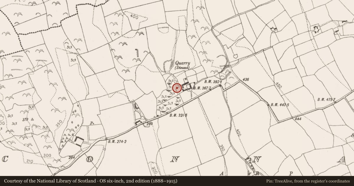 Ordnance Survey six-inch map, 2nd edition (1888–1915) covering the location of Castle - unclassified, Connahy, County Kilkenny, with a pin at the register's coordinates