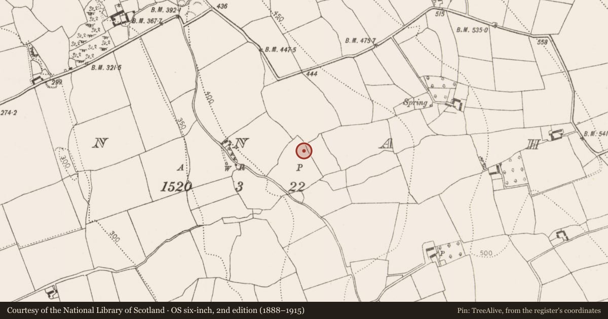 Ordnance Survey six-inch map, 2nd edition (1888–1915) covering the location of Enclosure, Connahy, County Kilkenny, with a pin at the register's coordinates