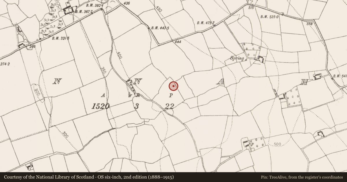 Ordnance Survey six-inch map, 2nd edition (1888–1915) covering the location of Burial ground, Connahy, County Kilkenny, with a pin at the register's coordinates