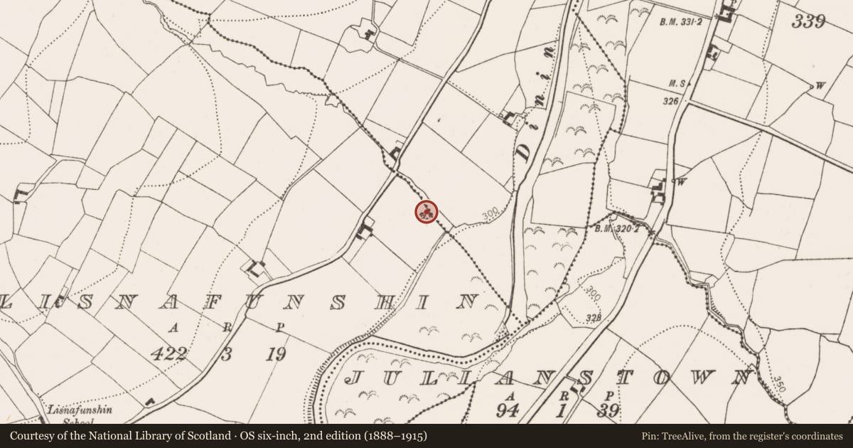 Ordnance Survey six-inch map, 2nd edition (1888–1915) covering the location of Church, Lisnafunshin, County Kilkenny, with a pin at the register's coordinates