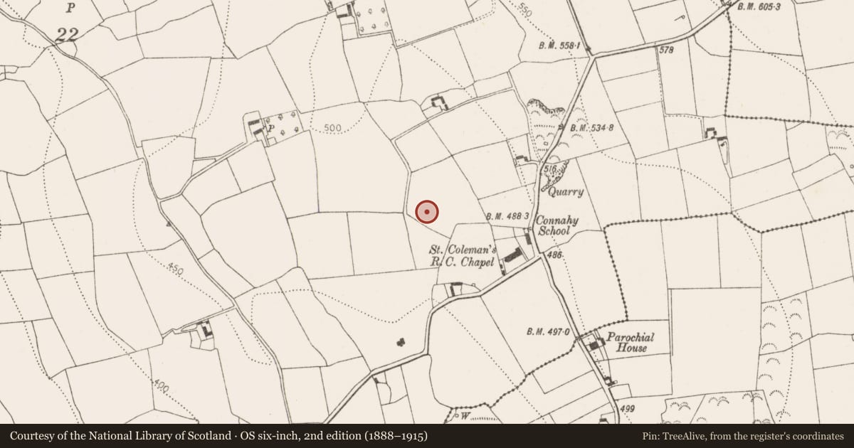 Ordnance Survey six-inch map, 2nd edition (1888–1915) covering the location of Ritual site - holy well, Connahy, County Kilkenny, with a pin at the register's coordinates
