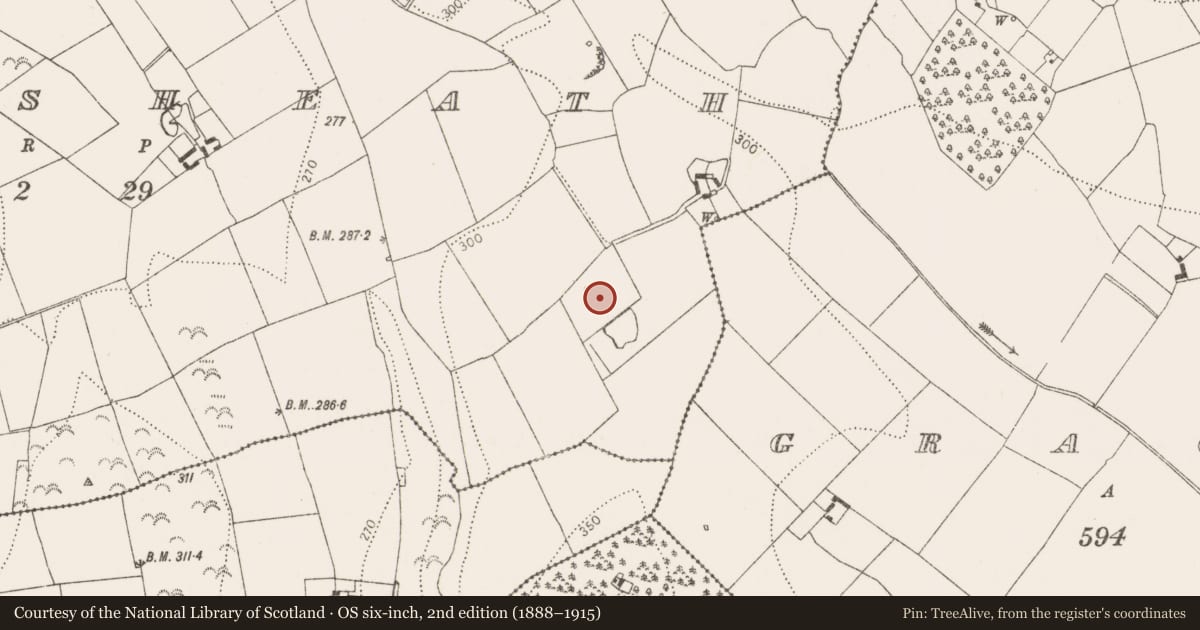 Ordnance Survey six-inch map, 2nd edition (1888–1915) covering the location of Burial ground, Swiftsheath, County Kilkenny, with a pin at the register's coordinates