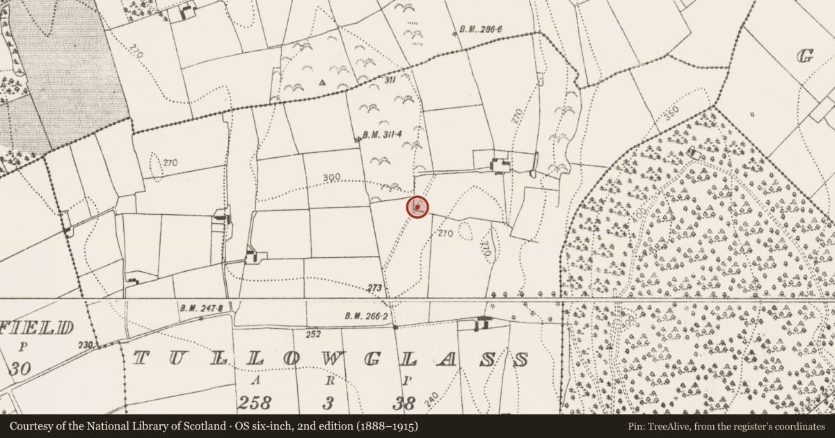 Ordnance Survey six-inch map, 2nd edition (1888–1915) covering the location of Castle - unclassified, Tullowglass, County Kilkenny, with a pin at the register's coordinates