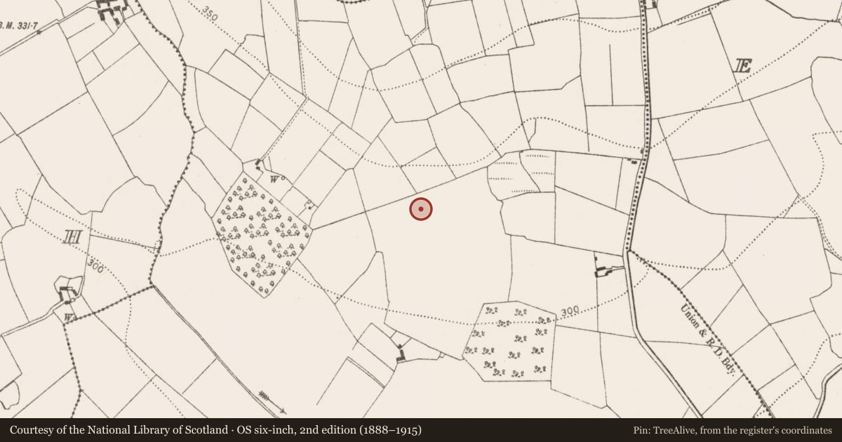 Ordnance Survey six-inch map, 2nd edition (1888–1915) covering the location of Castle - unclassified, Gragara, County Kilkenny, with a pin at the register's coordinates