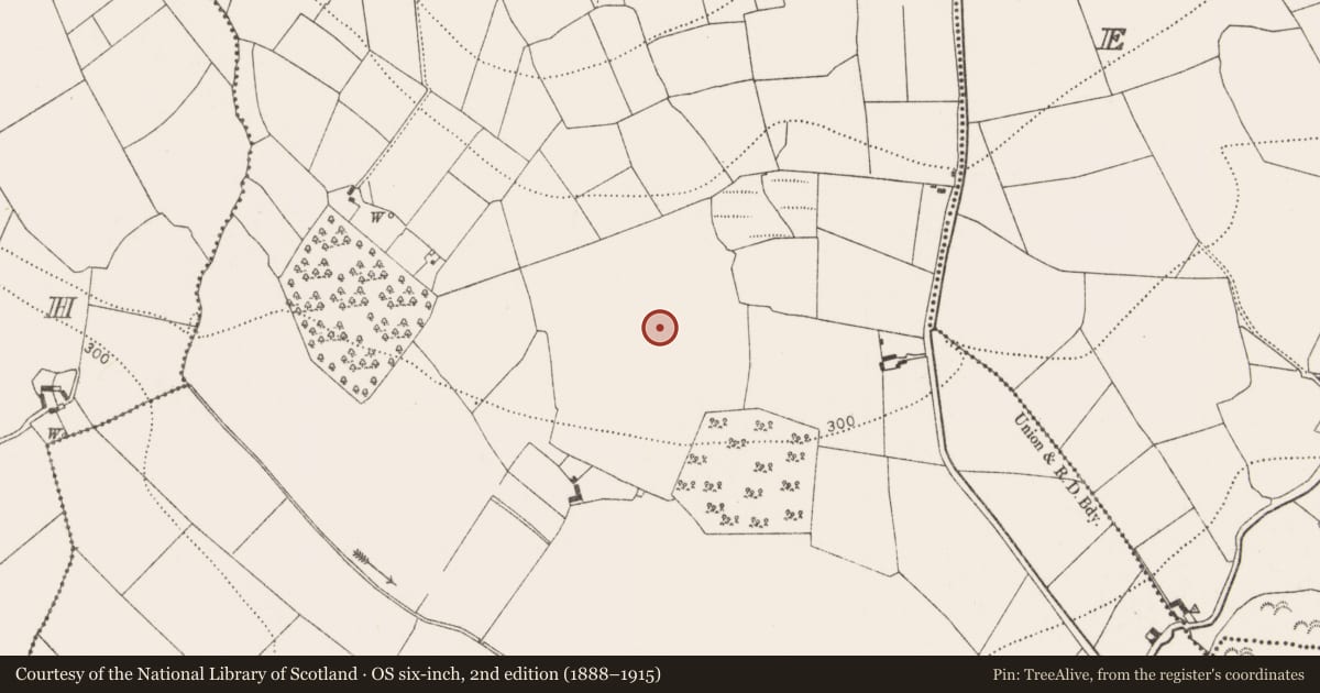 Ordnance Survey six-inch map, 2nd edition (1888–1915) covering the location of Earthwork, Gragara, County Kilkenny, with a pin at the register's coordinates