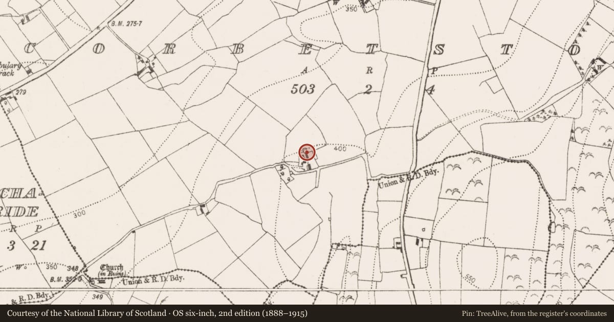 Ordnance Survey six-inch map, 2nd edition (1888–1915) covering the location of Castle - tower house, Corbetstown, County Kilkenny, with a pin at the register's coordinates