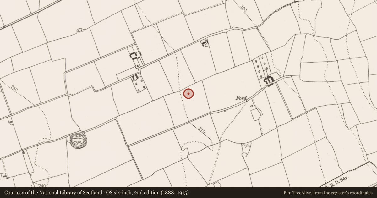Ordnance Survey six-inch map, 2nd edition (1888–1915) covering the location of Burial, Connahy, County Kilkenny, with a pin at the register's coordinates