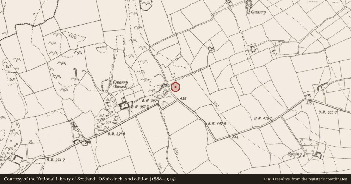 Ordnance Survey six-inch map, 2nd edition (1888–1915) covering the location of Enclosure, Connahy, County Kilkenny, with a pin at the register's coordinates