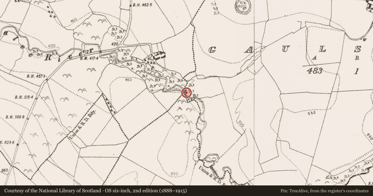 Ordnance Survey six-inch map, 2nd edition (1888–1915) covering the location of Mill - unclassified, Gaulstown, County Kilkenny, with a pin at the register's coordinates