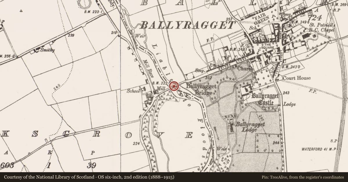 Ordnance Survey six-inch map, 2nd edition (1888–1915) covering the location of Ford, Ballyragget, Parksgrove, County Kilkenny, with a pin at the register's coordinates