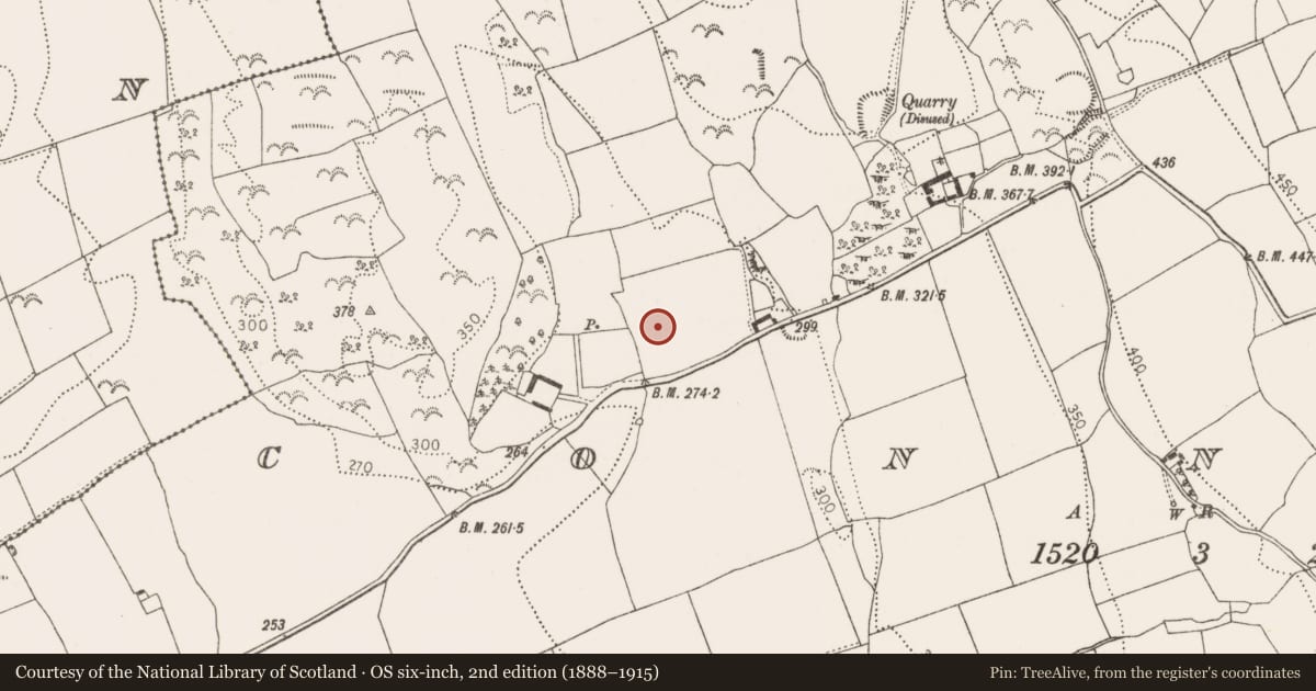 Ordnance Survey six-inch map, 2nd edition (1888–1915) covering the location of Enclosure, Connahy, County Kilkenny, with a pin at the register's coordinates