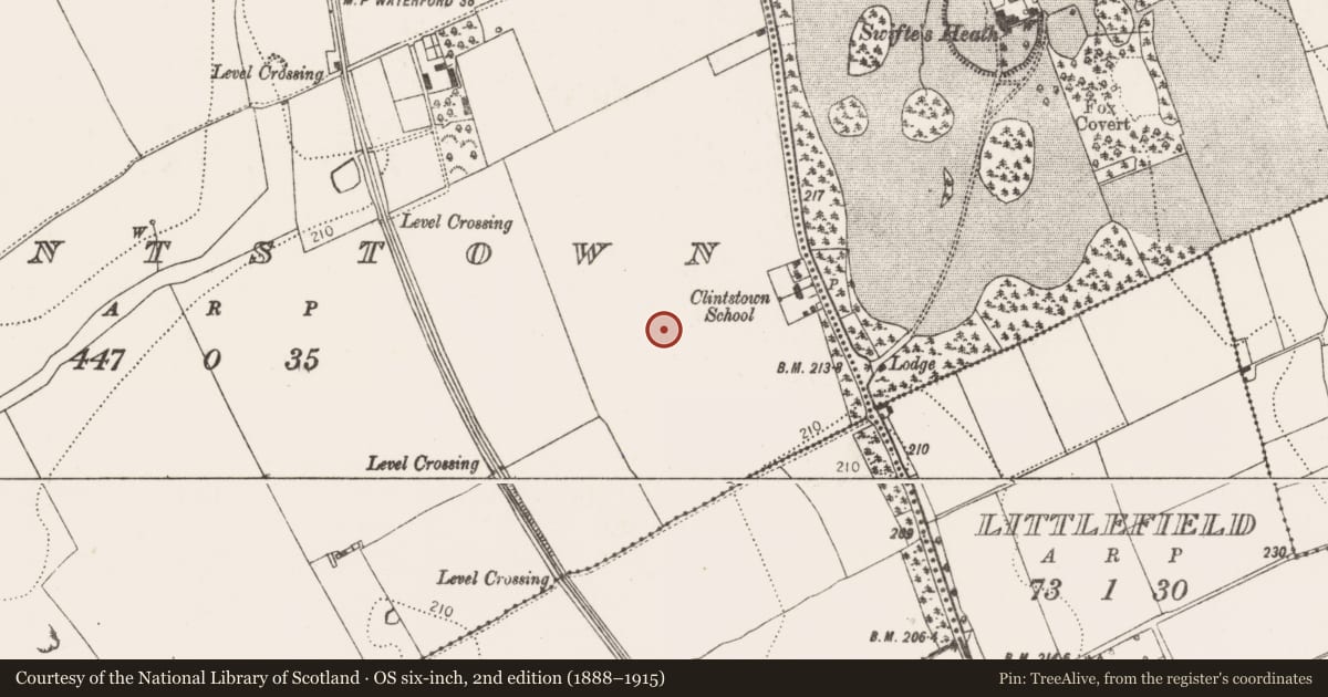 Ordnance Survey six-inch map, 2nd edition (1888–1915) covering the location of Field system, Clintstown, County Kilkenny, with a pin at the register's coordinates