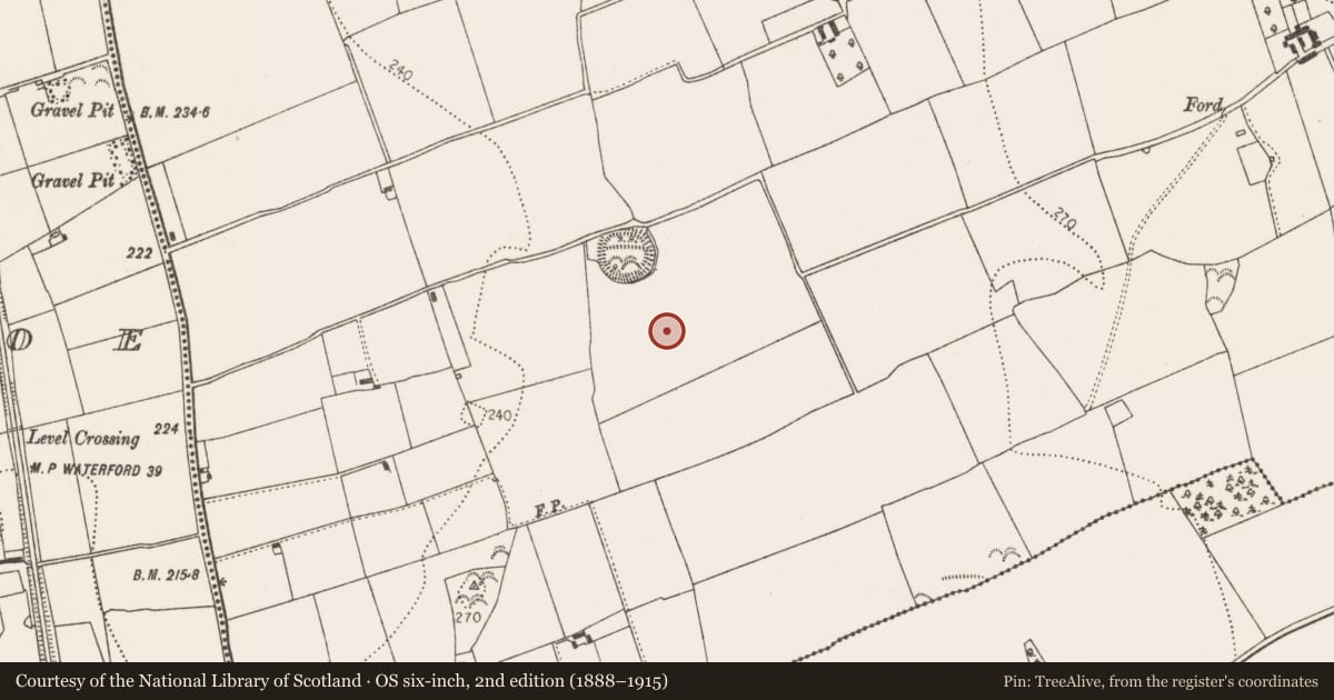 Ordnance Survey six-inch map, 2nd edition (1888–1915) covering the location of Field system, Connahy, County Kilkenny, with a pin at the register's coordinates