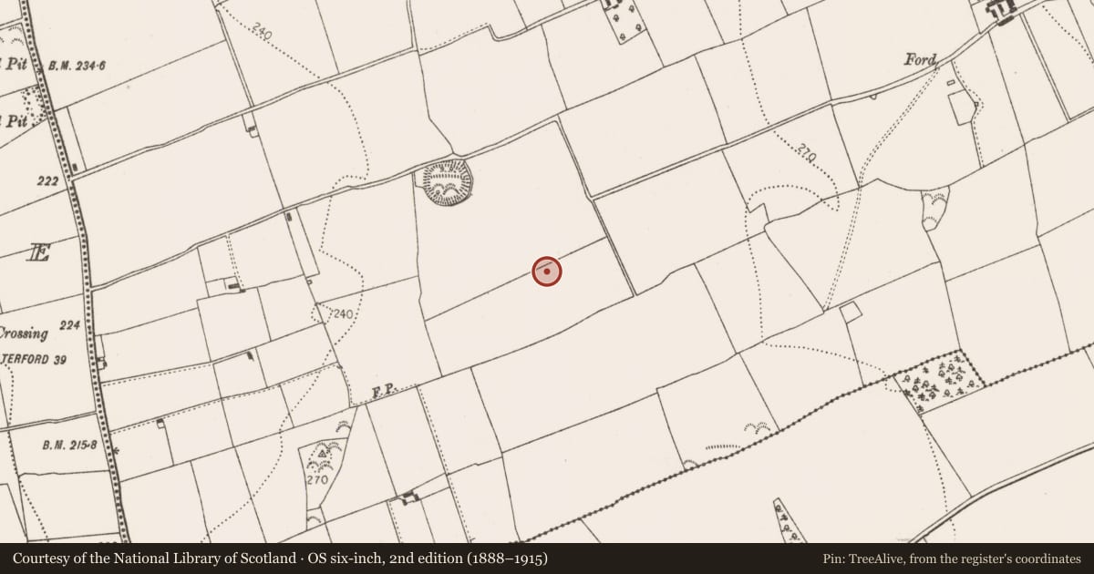Ordnance Survey six-inch map, 2nd edition (1888–1915) covering the location of Ring-ditch, Connahy, County Kilkenny, with a pin at the register's coordinates