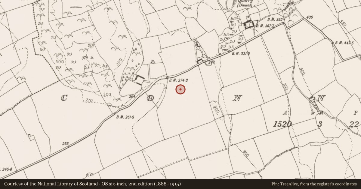 Ordnance Survey six-inch map, 2nd edition (1888–1915) covering the location of Ring-ditch, Connahy, County Kilkenny, with a pin at the register's coordinates