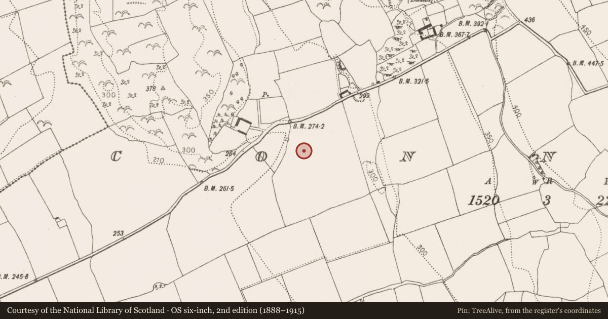 Ordnance Survey six-inch map, 2nd edition (1888–1915) covering the location of Pit alignment, Connahy, County Kilkenny, with a pin at the register's coordinates