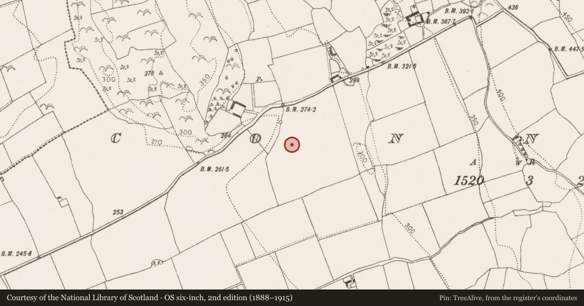 Ordnance Survey six-inch map, 2nd edition (1888–1915) covering the location of Ring-ditch, Connahy, County Kilkenny, with a pin at the register's coordinates
