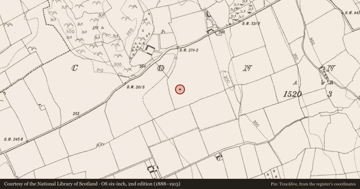 Ordnance Survey six-inch map, 2nd edition (1888–1915) covering the location of Ring-ditch, Connahy, County Kilkenny, with a pin at the register's coordinates