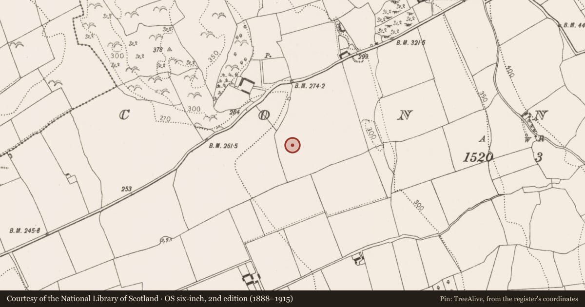 Ordnance Survey six-inch map, 2nd edition (1888–1915) covering the location of Ring-ditch, Connahy, County Kilkenny, with a pin at the register's coordinates