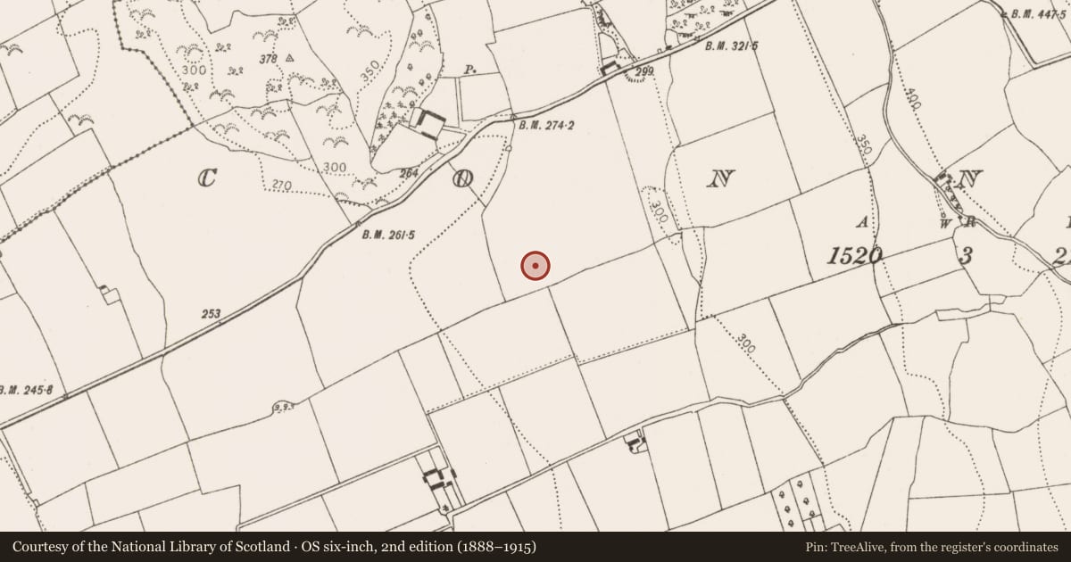 Ordnance Survey six-inch map, 2nd edition (1888–1915) covering the location of Ring-ditch, Connahy, County Kilkenny, with a pin at the register's coordinates
