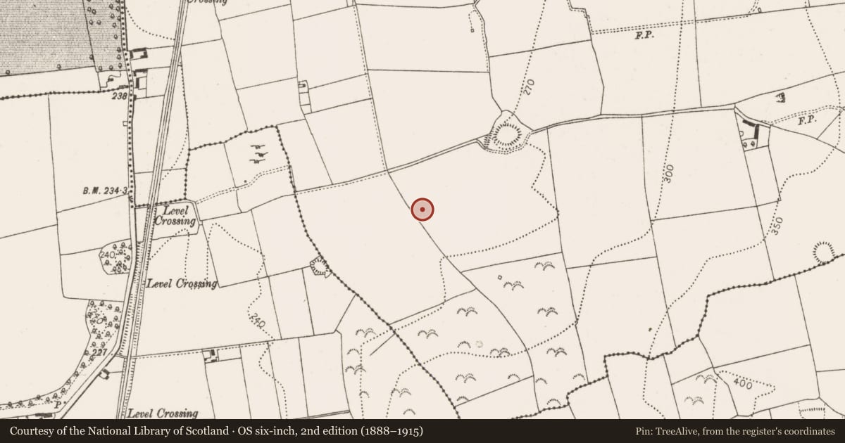 Ordnance Survey six-inch map, 2nd edition (1888–1915) covering the location of Enclosure, Donaghmore, County Kilkenny, with a pin at the register's coordinates