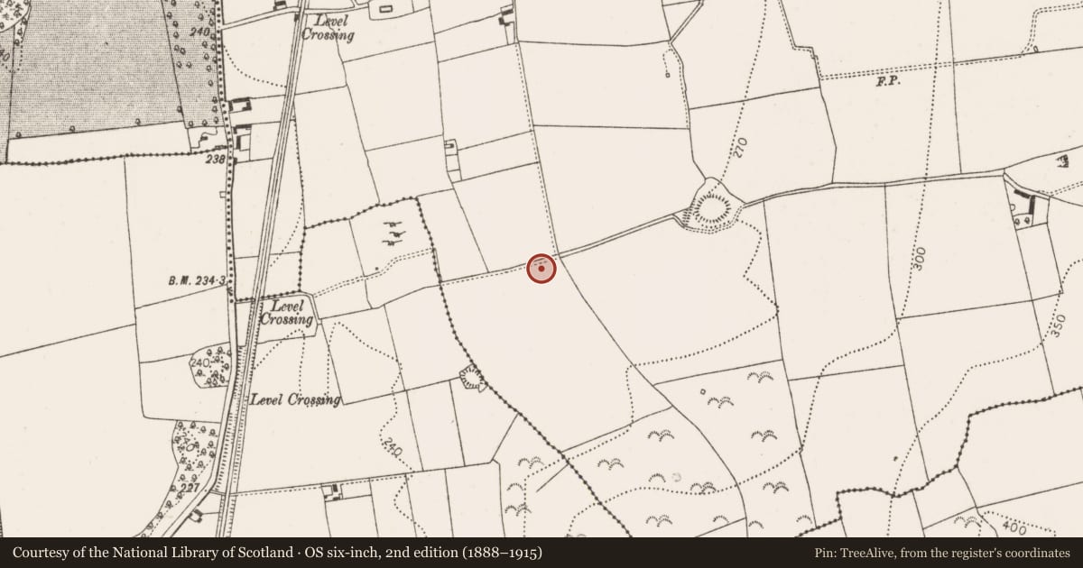 Ordnance Survey six-inch map, 2nd edition (1888–1915) covering the location of Ring-ditch, Donaghmore, County Kilkenny, with a pin at the register's coordinates
