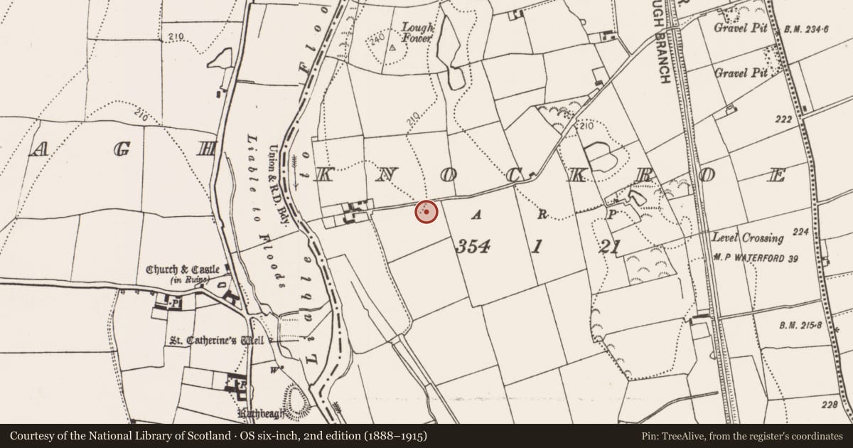 Ordnance Survey six-inch map, 2nd edition (1888–1915) covering the location of Enclosure, Knockroe, County Kilkenny, with a pin at the register's coordinates
