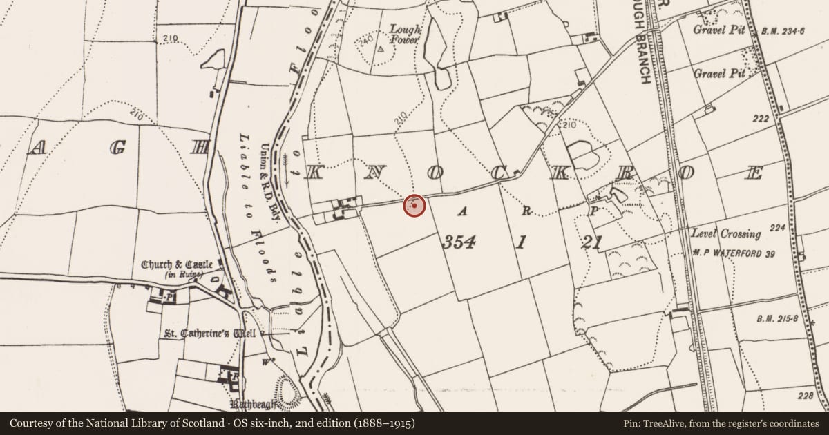 Ordnance Survey six-inch map, 2nd edition (1888–1915) covering the location of Souterrain, Knockroe, County Kilkenny, with a pin at the register's coordinates