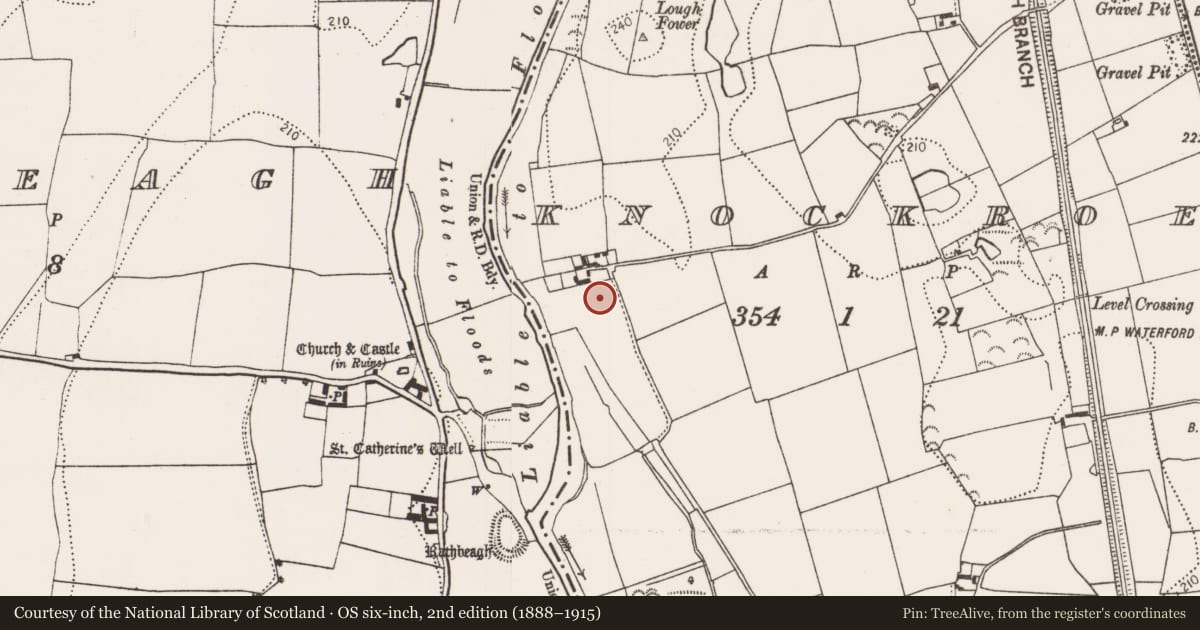 Ordnance Survey six-inch map, 2nd edition (1888–1915) covering the location of Enclosure, Knockroe, County Kilkenny, with a pin at the register's coordinates