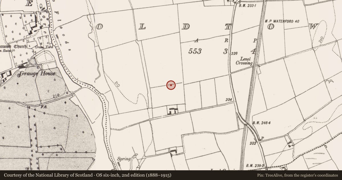 Ordnance Survey six-inch map, 2nd edition (1888–1915) covering the location of Ring-ditch, Oldtown, County Kilkenny, with a pin at the register's coordinates