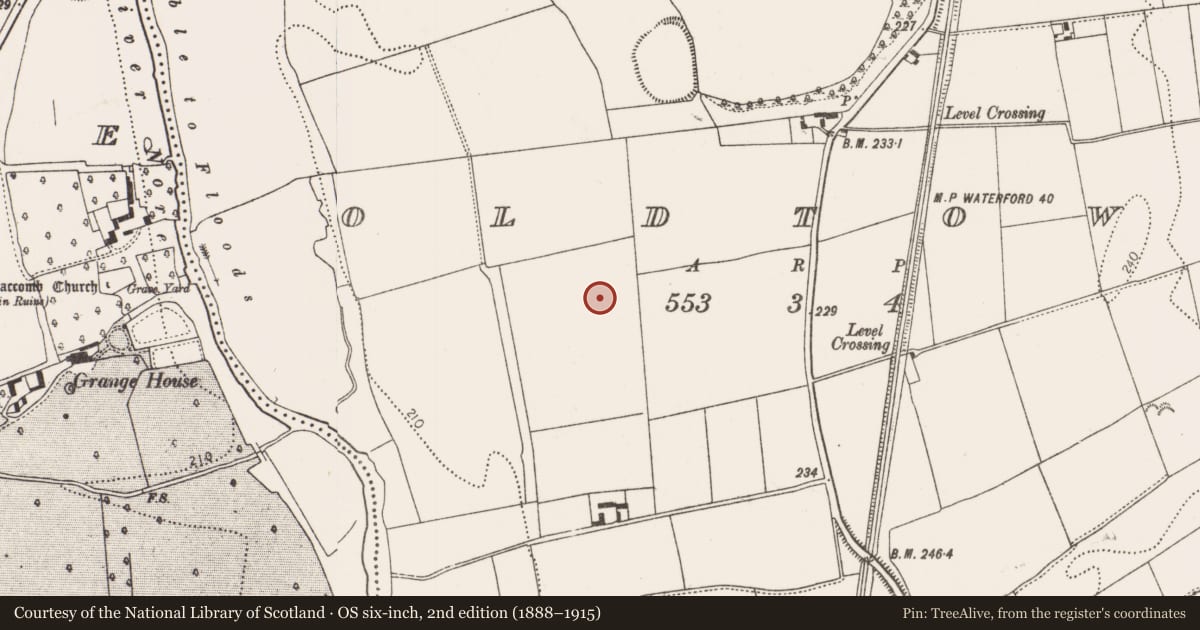 Ordnance Survey six-inch map, 2nd edition (1888–1915) covering the location of Ring-ditch, Oldtown, County Kilkenny, with a pin at the register's coordinates