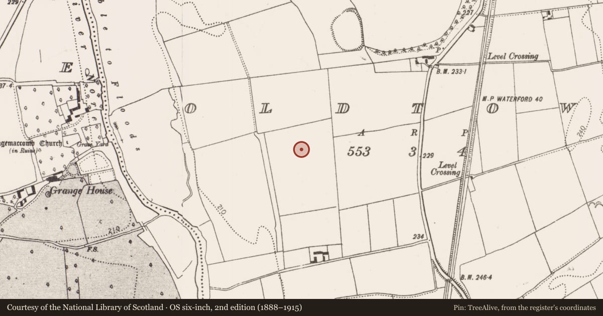 Ordnance Survey six-inch map, 2nd edition (1888–1915) covering the location of Ring-ditch, Oldtown, County Kilkenny, with a pin at the register's coordinates