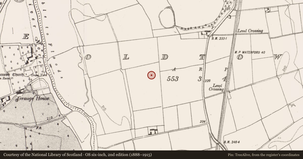 Ordnance Survey six-inch map, 2nd edition (1888–1915) covering the location of Field system, Oldtown, County Kilkenny, with a pin at the register's coordinates