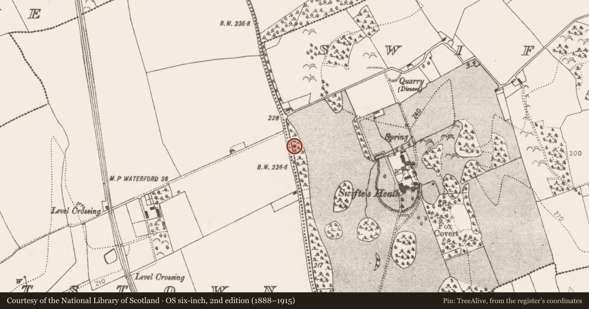 Ordnance Survey six-inch map, 2nd edition (1888–1915) covering the location of Ring-ditch, Swiftsheath, County Kilkenny, with a pin at the register's coordinates