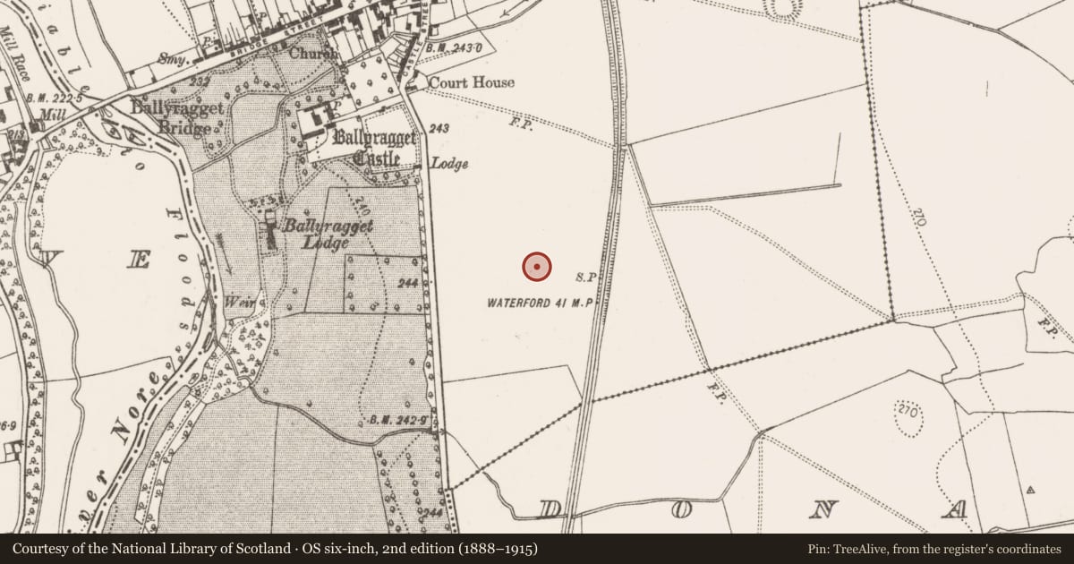 Ordnance Survey six-inch map, 2nd edition (1888–1915) covering the location of Ring-ditch, Ballyragget, County Kilkenny, with a pin at the register's coordinates