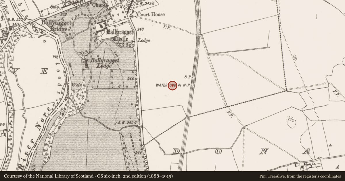 Ordnance Survey six-inch map, 2nd edition (1888–1915) covering the location of Ring-ditch, Ballyragget, County Kilkenny, with a pin at the register's coordinates