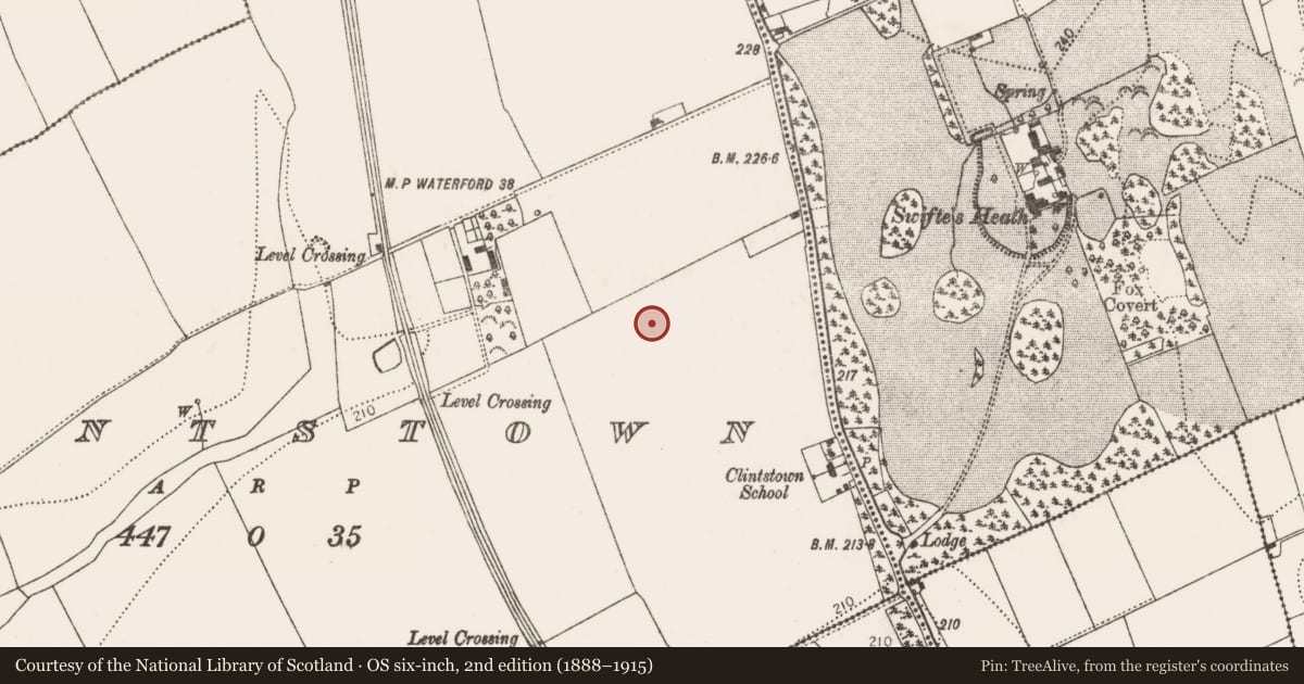 Ordnance Survey six-inch map, 2nd edition (1888–1915) covering the location of Field system, Clintstown, County Kilkenny, with a pin at the register's coordinates