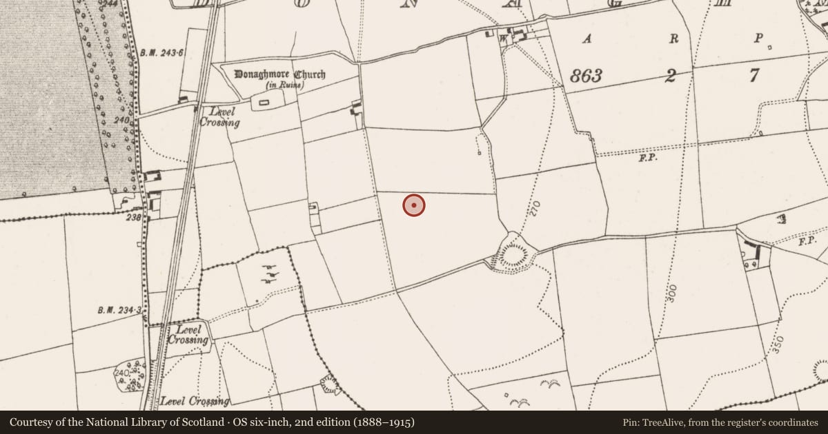 Ordnance Survey six-inch map, 2nd edition (1888–1915) covering the location of Ring-ditch, Donaghmore, County Kilkenny, with a pin at the register's coordinates